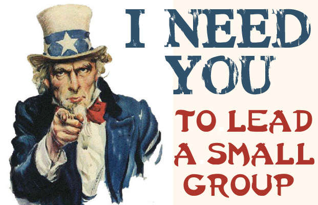 I Need You To Lead A Small Group