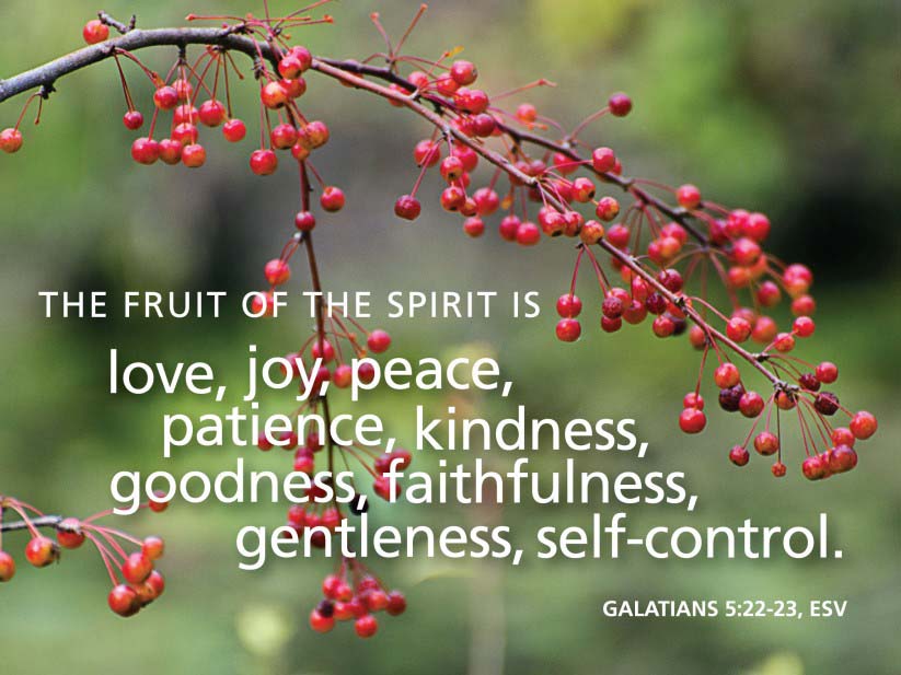 The Spiritual Fruit of Patience