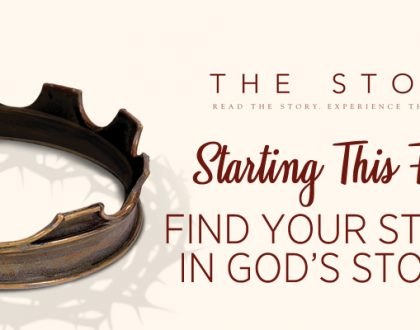 The Story Bible Study Series