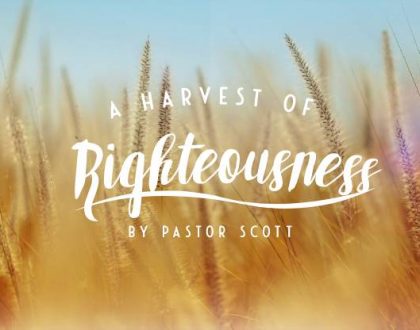 A Harvest of Righteousness